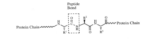 Diagram

Description automatically generated