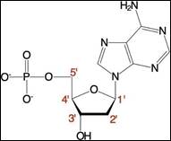 A chemical formula of a molecule

Description automatically generated