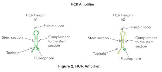 A diagram of a structure

Description automatically generated