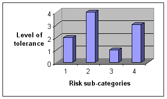 Risks related to the web site creation